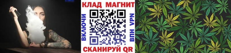 Купить наркоту Новоузенск Галлюциногенные грибы  Амфетамин  Меф мяу мяу  Cocaine  Марихуана 